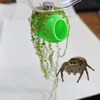 Jumping Spider Enclosure Accessories 4Pcs Cocoon-Shaped Jumping Spider Hideaway with Artificial Moss and 1 Pcs Resting Platform Magnetic Small Animal Shelter Toy (Light Green) - color: Light Green