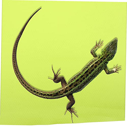 BESPORTBLE 200m Reptile Carpet Mat for Terrarium Soft and Washable Substrate for Bearded Dragon Leopard Gecko Snake Lizard Turtle Liner