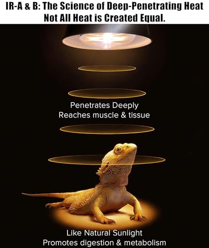 72W Halogen Heat Lamp for Reptiles - Professional Daylight Intense Basking Bulb, IR-A Deep Heat & Simulated Natural Sunlight, 2 Pack for Bearded Dragon, Turtle, Lizard, Snake, Gecko & Chicken