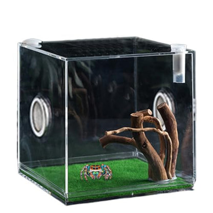 Acrylic Jumping Spider Terrarium - Reptile Growth Clear Container, Clearer View Small Pet Enclosure, Practical Convenient Spacious Habitat, Durable Housing Design Versatile Use | for Snails Lizards Be - color: Ash Green