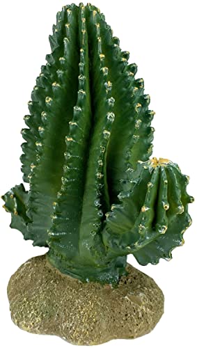 Multi Pet 48593320: Komodo Cactus Plant Columnar, 5.9In