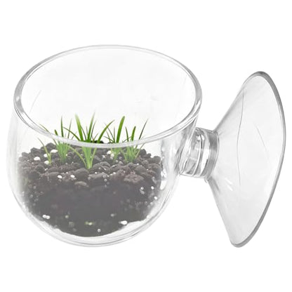 Floating Shrimp Bowl, Aquarium Feeding Tray with Suction Cup, Fish Food Cup Accessory, Reptile and Aquatic Pet Feeder, Tank Tortoise Gecko Bearded Dragon Betta Turtle Shrimp Crab Frog Snake Spider - size: Small