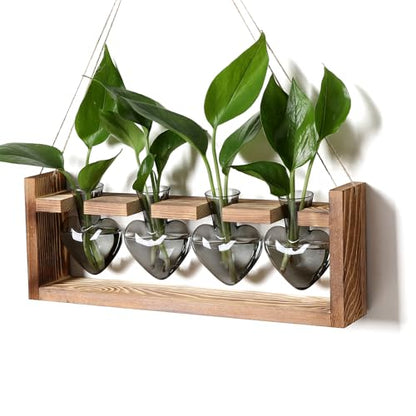 Plant Propagation Stations Heart Plant Terrarium Kit Gift for Women Plant Lover Glass Vases - color: Gray
