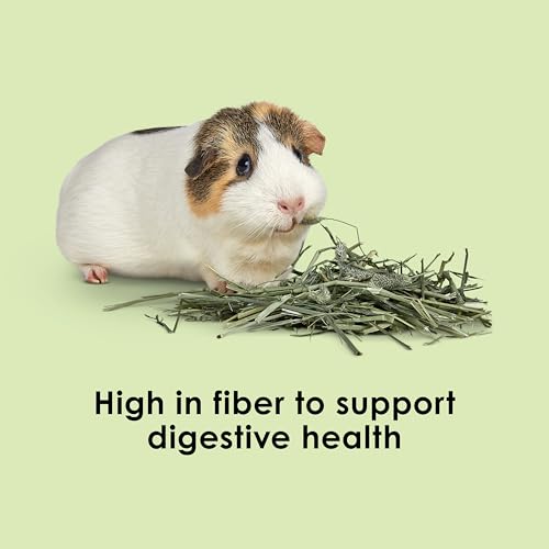 Kaytee Timothy Hay, High Fiber, Grown Specifically for Small Animals, Rabbits, Guinea Pigs, Chinchillas, Ideal Bulk Order for Small Pets, 2 Pounds - size: 2 Pound (Pack of 1)