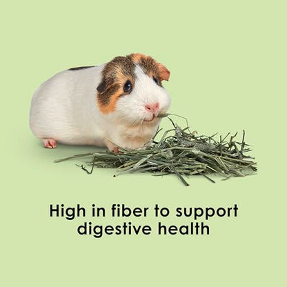 Kaytee Timothy Hay, High Fiber, Grown Specifically for Small Animals, Rabbits, Guinea Pigs, Chinchillas, Ideal Bulk Order for Small Pets, 2 Pounds - size: 2 Pound (Pack of 1)
