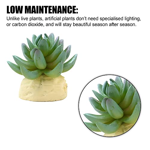 VOCOSTE Cactus Plant Terrarium Reptile Tank Habitat Decor for Reptiles, Plastic, Green