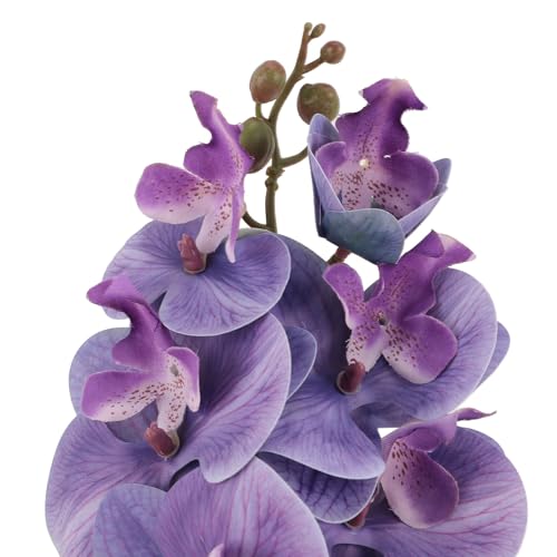 Fockety Reptile Corner Branch, 2Pcs Plant Flower Plant Reptile Climbing Branch Reptile Climbing Vine with Suction Cup, Aquarium Decoration for Aquarium Lizards Spiders Snakes