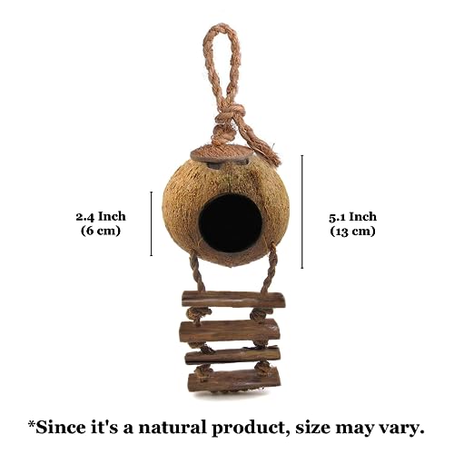 SunGrow Crested Gecko, Snake & Ball Python Coco Hut, Treat & Food Dispenser, Climbing Porch, Hiding, Ideal for Reptiles, Amphibians (with Ladder)