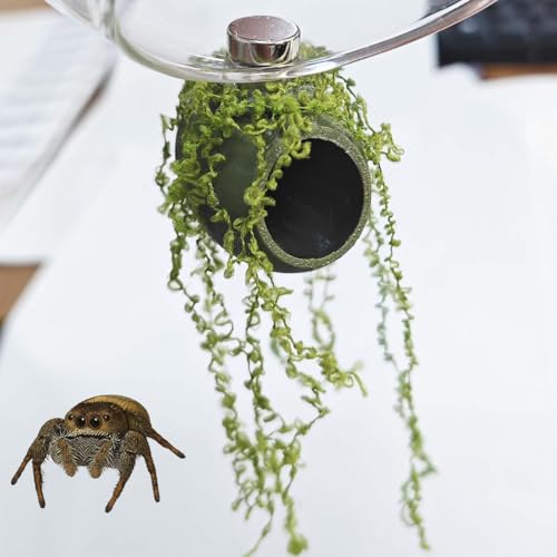 4Pcs Jumping Spider Enclosure Accessories Cocoon-Shaped Jumping Spider Hideaway with Artificial Moss and 1 Pcs Resting Platform Magnetic Small Animal Shelter Toy (Army Green) - color: Army Green
