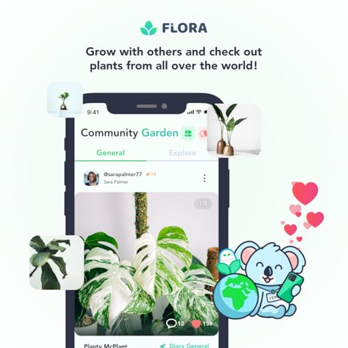 Flora Premium Plant Mister Spray Bottle for Gentle & Fine Mist for Precision Hydration, Dispersed Humidity & Moisture, Comes w App for Smart Plant Care, Plant ID and Diagnosis Tool (1 pack)