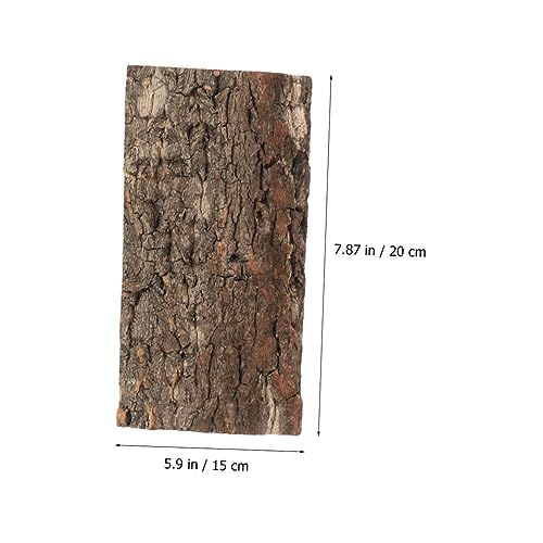 BESPORTBLE Reptile Cork Bark Decor Natural Reptile Background Turtle Platform Lizard Climbing Cork Bark Aquarium Decor