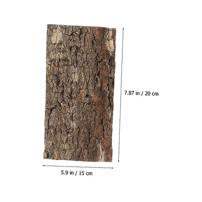 BESPORTBLE Reptile Cork Bark Decor Natural Reptile Background Turtle Platform Lizard Climbing Cork Bark Aquarium Decor