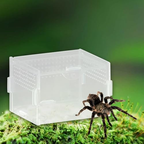 Reptile Breeding Box Terrarium Clear Animal Habitat Cage with Ventilation Holes for Geckos Frogs Hermit Crabs- 10x8x7cm - size: 10x8x7cm