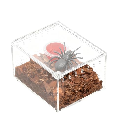 Spider Terrarium, Transparent Breeding Feeding Box, Acrylic Snake Enclosure Feature, Reptile and Amphibian Habitat Design with Usage for Lizard Frog Turtle Observation Breeding Feeding Pet Home