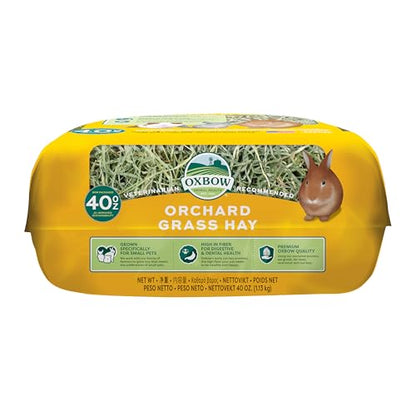Oxbow Orchard Grass Hay for Small Pets – All-Natural Long Strand Fiber Hay for Rabbits, Guinea Pigs, Chinchillas, and Hamsters – Supports Digestive Health and Enrichment – 40 oz Bag - size: 40 Ounce (Pack of 1)