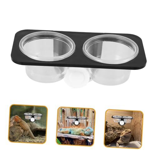 Happyyami Gecko Feeder Ledge Suction Cup Reptile Feeder with 2 Plastic Detachable Bowls Lizard Feeding Dish for Tortoise Spider Food Water Aquarium Tank B