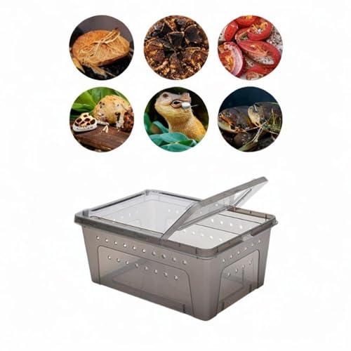 Reptile Feeding Box Climbing Pet Breeding Box Portable with Small Vents Turtle Transport Container Hatching Case for Scorpion, Black