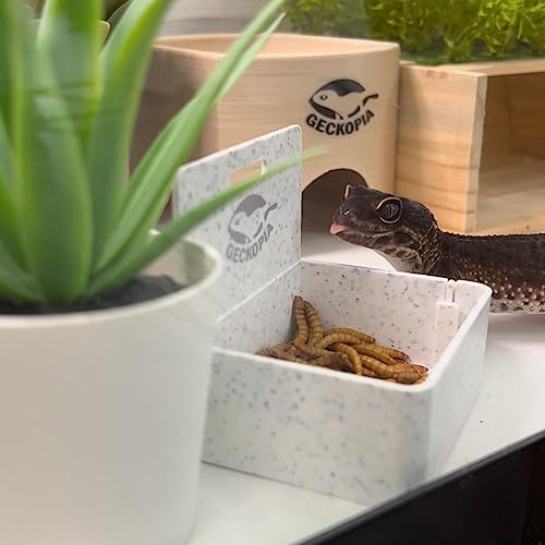 Geckopia Triple Dish 3.0 | 3 in 1 Reptile Bowl | Gecko & Reptile Calcium & Water Food Bowl | Mealworm Dish in BioPlastic | Wood - color: Wood