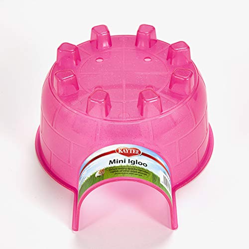Kaytee Igloo Habitat Hideout For Pet Hamsters, Gerbils, Rats, and Other Small Animals, Mini - size: Mini