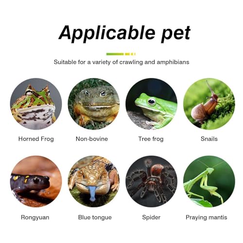 Reeusaables Pet Terrarium Liner - Reptile Carpet Strong Absorbent Grass Like Texture Substrate Mat, Washable Cuttable Cage Bedding Liner Sheet - color: Small 60x40cm