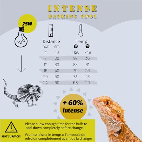 Reptile Heat Lamp, 2 Pack 75W Intense Basking Bulbs Light for Reptiles, UVA Daylight Basking Light for Bearded Dragon, Lizard, Gecko,Turtle, Reptile Heat Bulb - color: 2-pack Reptile Heat Bulb
