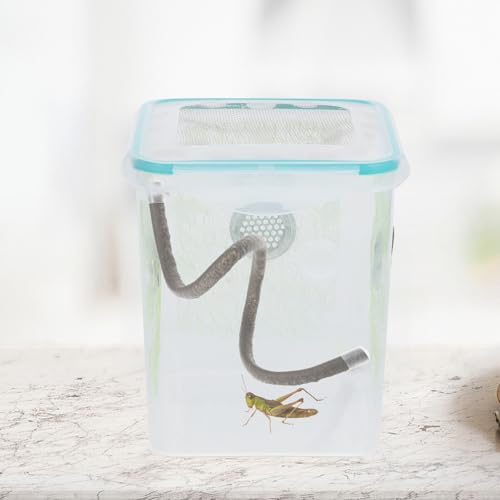BESPORTBLE Reptile Climbing Branch Suction Cups and End Caps, Artificial Vine for Gecko Tank Accessories and Hermit Crab Habitat Decoration, 0.5 Meter Flexible Jungle Vine for Lizard