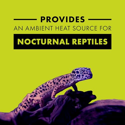 Zilla Incandescent Bulb, Night Black, Ideal for Nocturnal Reptile Species - size: 150 Watts, style: Night Black