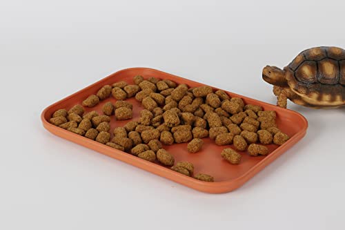 Reptile Large Water Dish, Tortoises Food Bowl - S (9.5 * 6.7 * 0.6) - size: S