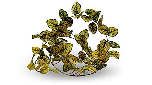 Pangea Leafy Vine for Reptile Terrarium Habitat (Japanese Laurel)
