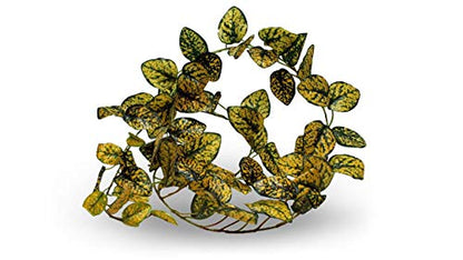 Pangea Leafy Vine for Reptile Terrarium Habitat (Japanese Laurel)