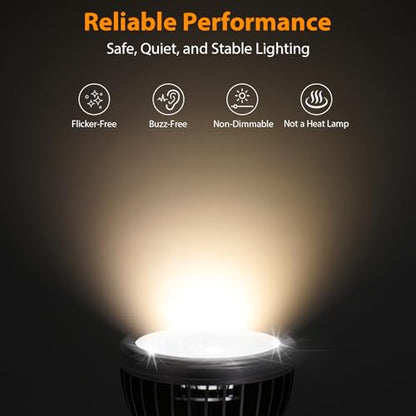 REPTITRIP UVB Light for Reptiles, UVB Bulb 5W 5.0 UVB LED Lamp, Reptile Light Bulb, Provide Sufficient UVB Exposure for Tropical Spices-Not Heat Lamp - style: UVB-5