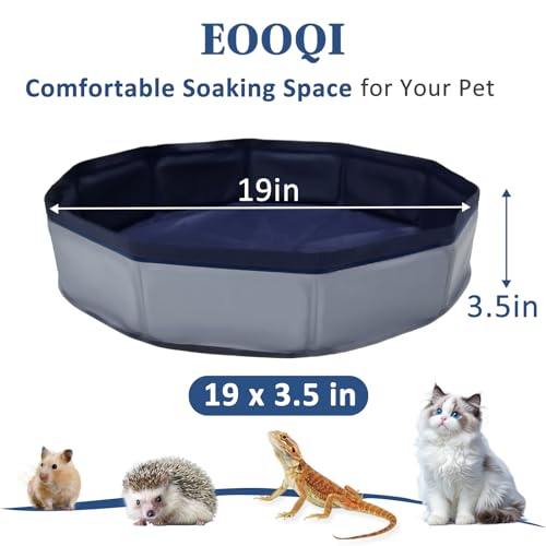 Eooqi Foldable Bearded Dragon Bathtub, Collapsible Reptile Bath Pool & Small Pet Water Tub, Portable Hard-Side Reptile Swimming Pool for Bearded Dragons, Hedgehogs and Hamsters (Gray, 19 x 3.5 in) - color: Gray