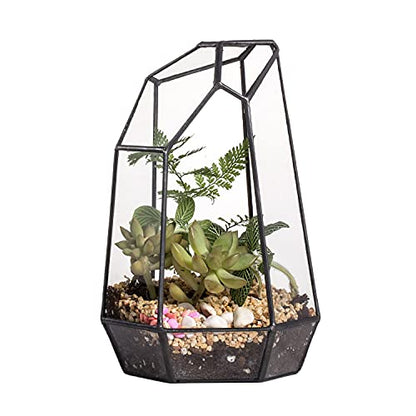 NCYP Small No Door Glass Geometric Terrarium - 4.9 x 3.9 x 7.4 Inches Irregular Clear Terrarium Pot for Mini Succulents, Small Cactus, Indoor Garden Tabletop Decoration (No Plants) - size: 4.9"x3.9"x7.4"
