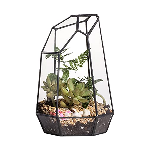 NCYP Small No Door Glass Geometric Terrarium - 4.9 x 3.9 x 7.4 Inches Irregular Clear Terrarium Pot for Mini Succulents, Small Cactus, Indoor Garden Tabletop Decoration (No Plants) - size: 4.9"x3.9"x7.4"