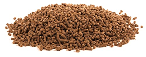 UltraCruz® Equine Electrolyte Plus, 5 lb