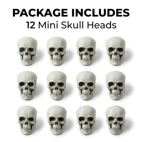 12 PCS Mini Skull Heads, 2 Inch Realistic Plastic Skeleton Skulls for Halloween Decor, Gothic Home Decor, Haunted House Props, DIY Crafts & Party Table Decor
