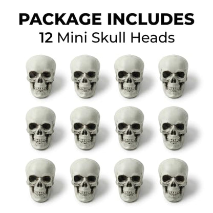 12 PCS Mini Skull Heads, 2 Inch Realistic Plastic Skeleton Skulls for Halloween Decor, Gothic Home Decor, Haunted House Props, DIY Crafts & Party Table Decor