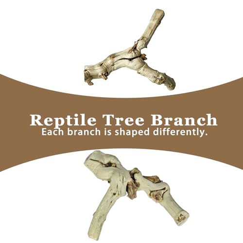 BNOSDM Reptile Branches, 5.9inch Snake Climbing Branch, Terrarium Wood Branch Decor, Bearded Dragon Tank Climbing Accessories for Lizard, Gecko, Chameleon, Frog