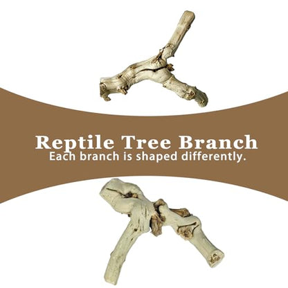 BNOSDM Reptile Branches, 5.9inch Snake Climbing Branch, Terrarium Wood Branch Decor, Bearded Dragon Tank Climbing Accessories for Lizard, Gecko, Chameleon, Frog