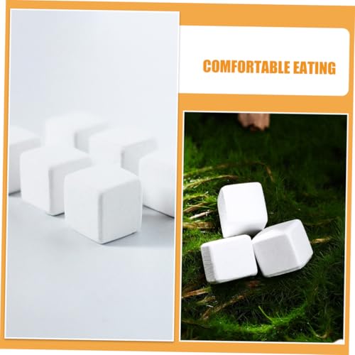 30pcs Natural Calcium Blocks for Reptiles and Amphibians Multi-Species Turtle Tortoise Frog Lizard Chameleon Supplement Teeth Grinding Aid Promotes Growth and Water Quality