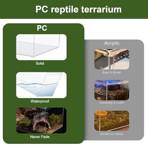 Reptile PC Terrarium 10.2" x 5.9" x 5.7" Full View Reptile Aquarium Tank Starter Kit for Insect Plant Gecko Spider Habitat Amphibians Enclosure with Hide Cave Feeding Bowl - size: M-Starter Kit