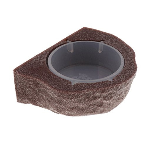 Magnetic Reptile Food Water Bowl Terrarium Reptile Feeder Feeding Dish for Gecko, Lizard, Turtle (Brown) - color: Brown