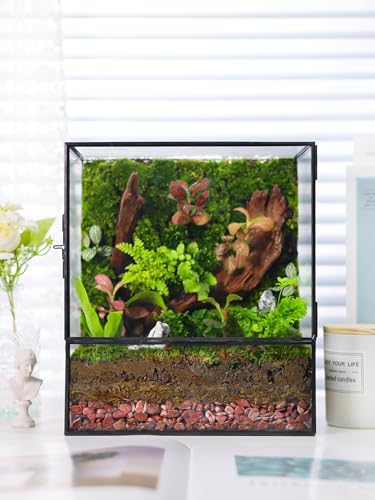 REDHUGO Glass Planter Terrariums with Door, Glass Terrarium Glass Greenhouse, Geometric Plants Terrariums Planter for Moss, Succulent, Indoor Tabletop Centerpiece, Rectangle, Black (Terrarium ONLY) - color: Black