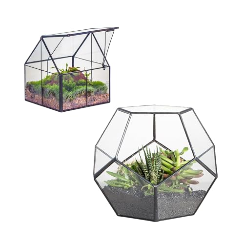NCYP Glass Terrarium - Mini House Shape Terrarium with Lid, and Open Irregular Pentagon Terrarium, for Small Succulent Cacti, Ferns, Indoor Home Garden Office Tabletop Decor (No Plants)
