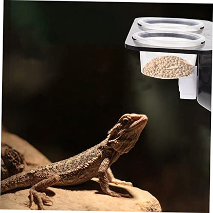 BESPORTBLE 1set Hanging Reptile Food Dishes Suction Cups Dual Compartment Feeder for Tortoise Gecko and Lizard Bowls for Easy Feeding and Hydration