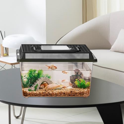Reptile Container – Transparent Carrier, Portable Handle Design, Durable PET Material, Compact Habitat Feature, Easy Clean Structure | Perfect Feeding Housing Gecko Crab Hermit Turtle Snail