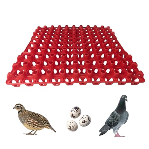Hen's Choice 90 Egg Plastic Trays for Quail, Pigeon, Dove, Birds.. Incubator Flat Carton (Red, 12 Pack) - color: Red, size: 12 Pack