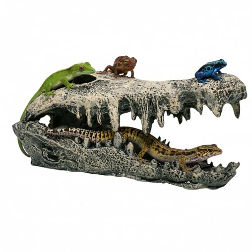 Crocodile Skull Décor, Snake Accessories for Tank, Snake and Reptile Hideout, Lifelike Resin Crafts, Reptile Hides and Caves for Fish Bearded Dragon Salamander Ball Python Leopard Gecko - color: Style C
