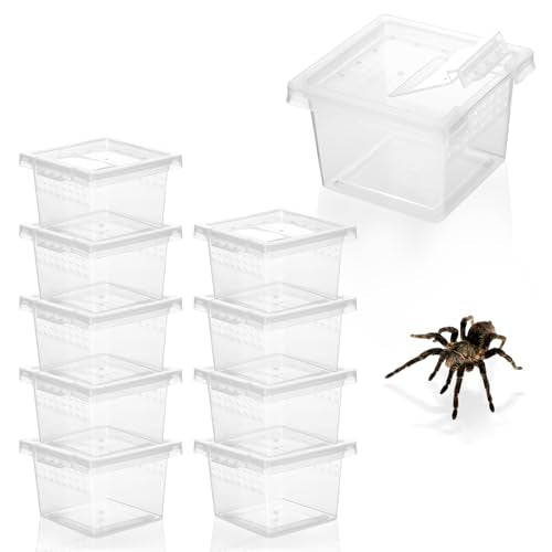 10Pcs Plastic Critter Keeper,Transparent Cricket Keeper for Reptiles,Mini Reptile Feeding Box Kids Bug Catching Kit Suitable for Crickets Scorpions Frogs Centipedes Lizards PP Breeding Box