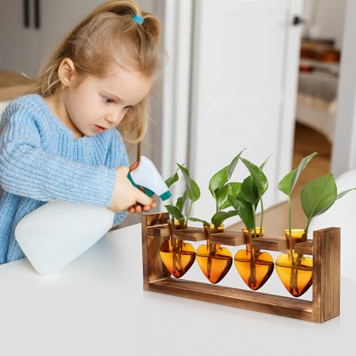 Plant Propagation Stations Heart Plant Terrarium Kit Gift for Women Plant Lover Glass Vases - color: Amber